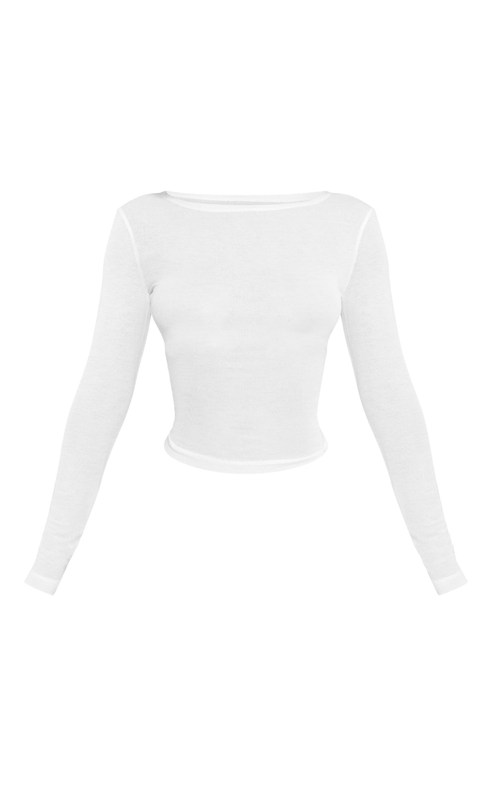 Petite White Sheer Long Sleeve Top Product Image