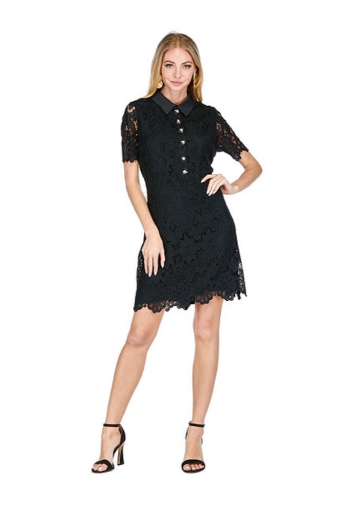 Collar Button Lace Dress Product Image