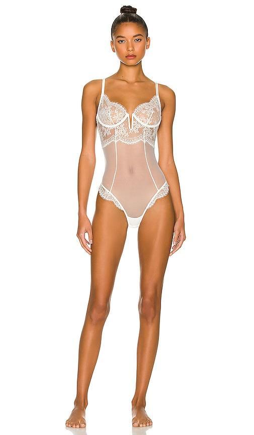 Womens Frankie Lace Bodysuit Product Image