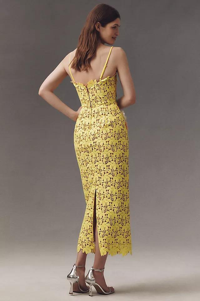 Helsi Georgia Straight-Neck Floral Midi Dress Product Image