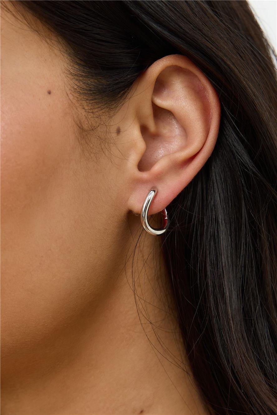 Chicest Earrings Silver Product Image