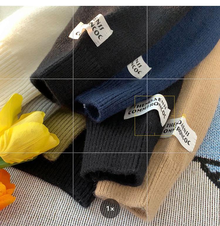 Crew Neck Raglan Sweater Product Image