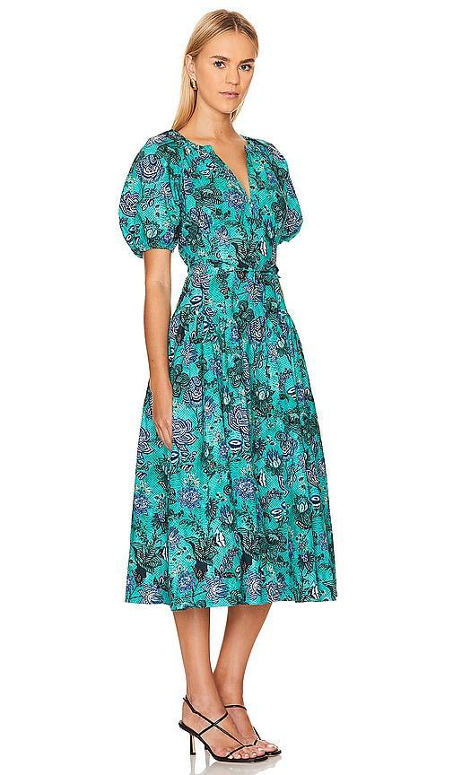 Carina Dress Ulla Johnson Product Image