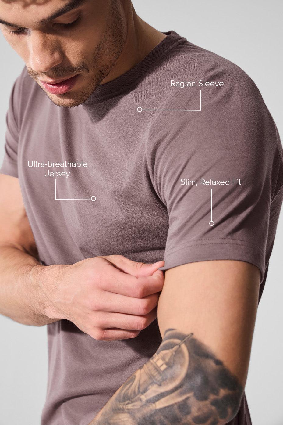 Triumph Raglan Tee - Mushroom Male Product Image