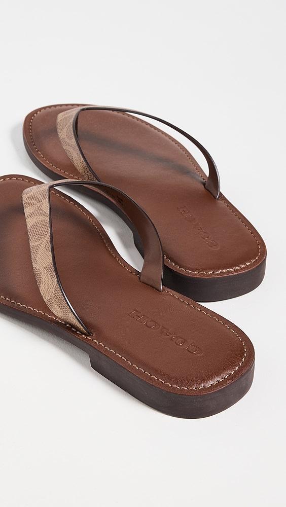 Coach Brianna Flip Flops | Shopbop Product Image