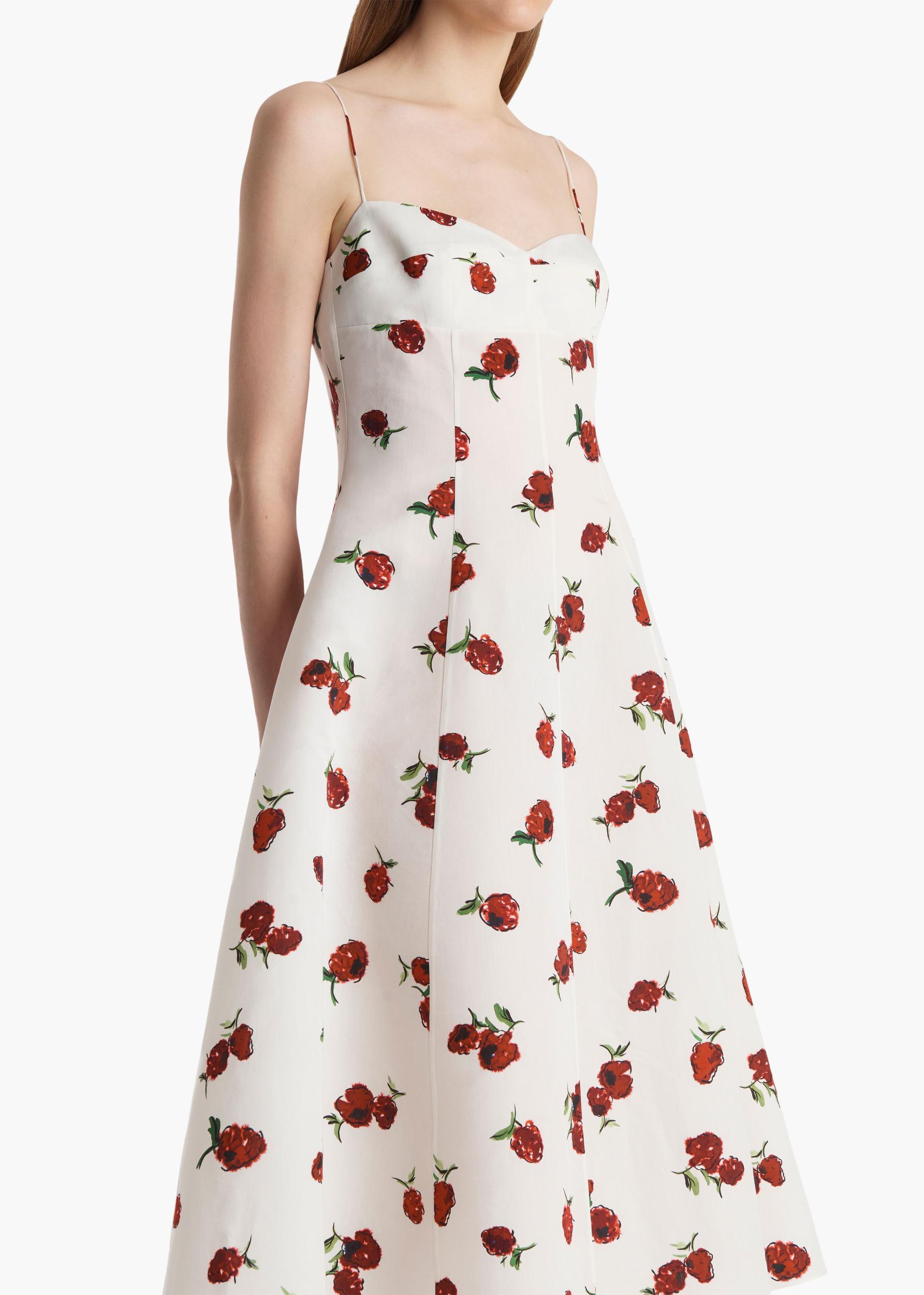 Isabella Dress in Cream with Raspberry Print Product Image