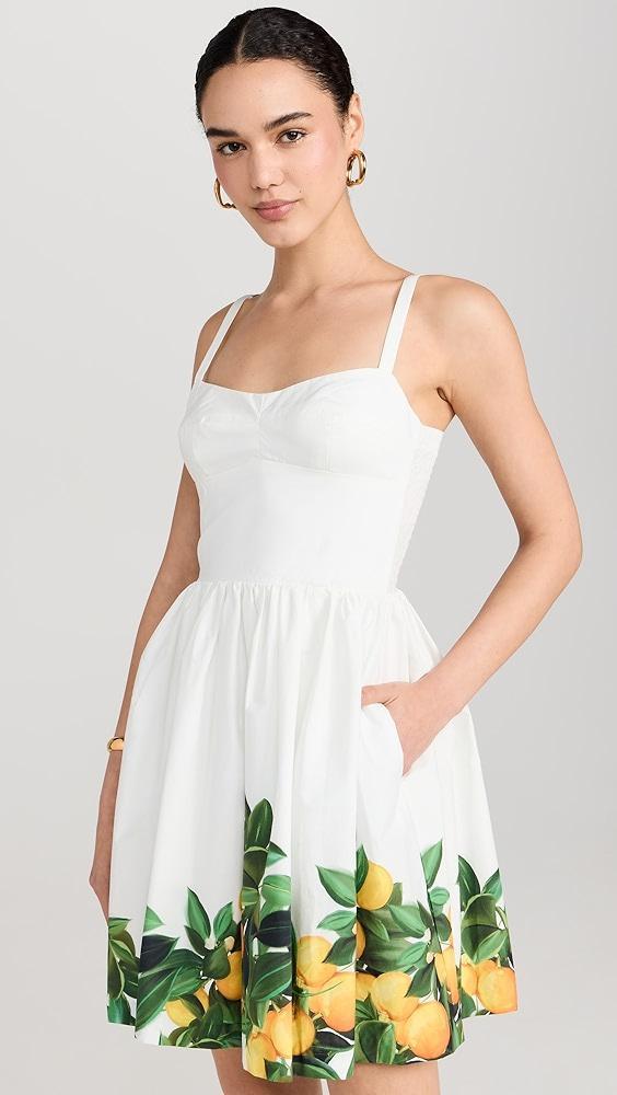 Amanda Uprichard Napoli Dress | Shopbop Product Image