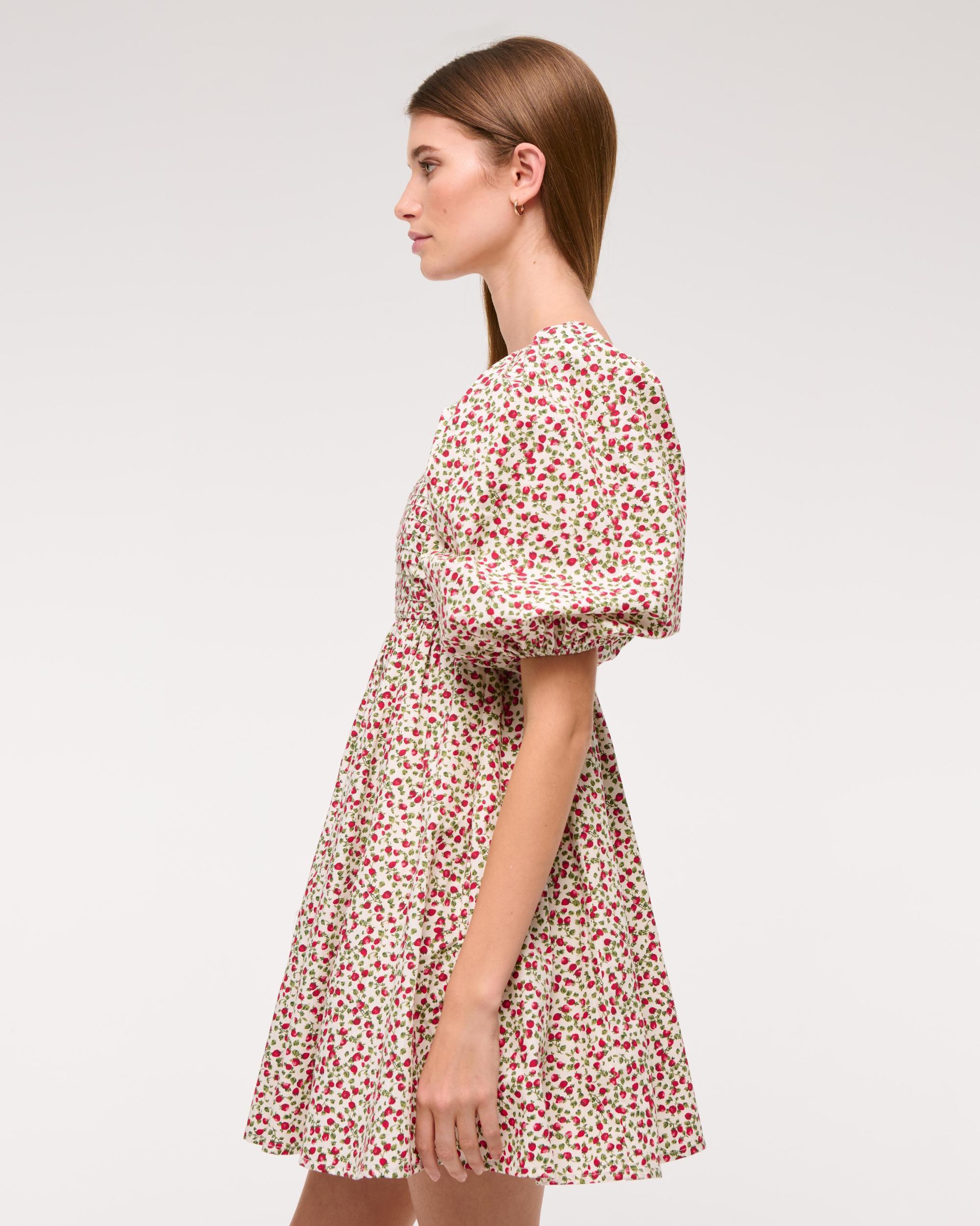Emerson Poplin Puff Sleeve Mini Dress Product Image