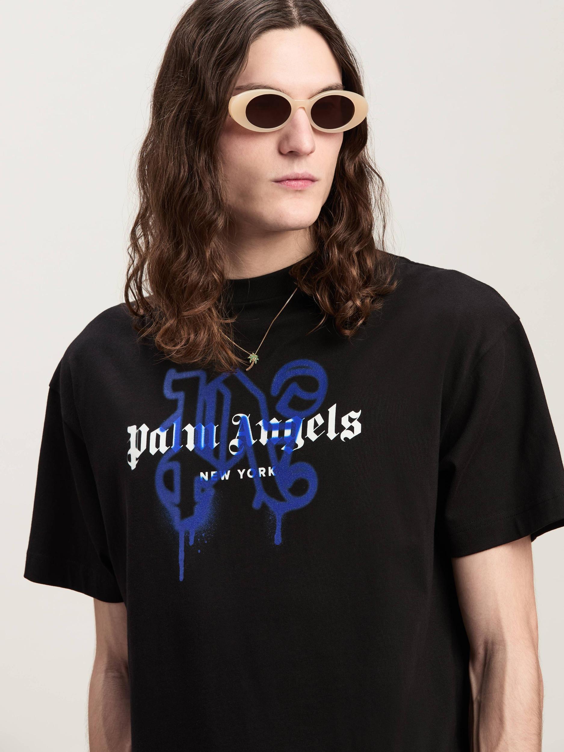 Lightweight Jersey Raglan Standard T-Shirt Male Product Image