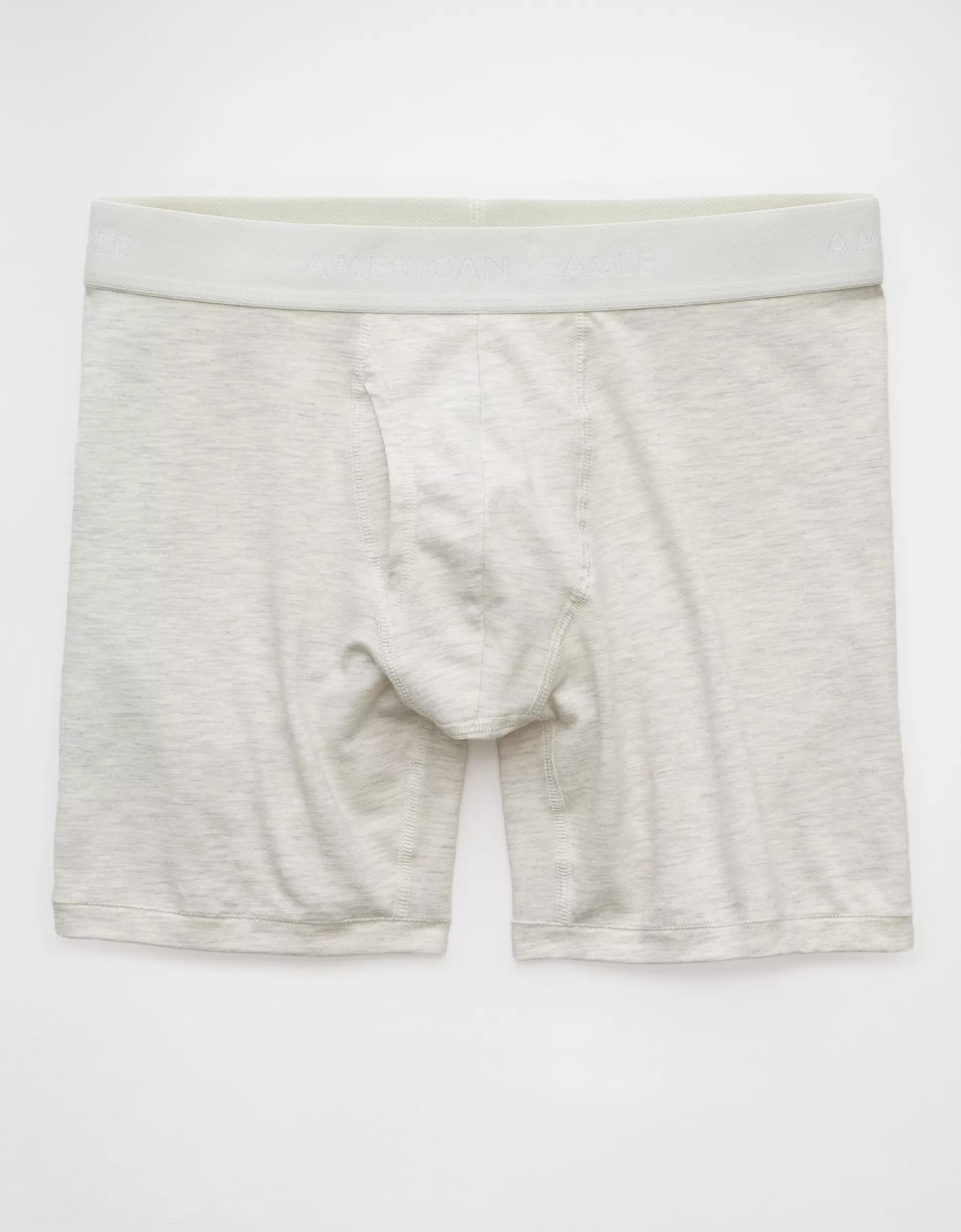 AEO Men's 6" Classic Boxer Brief Product Image