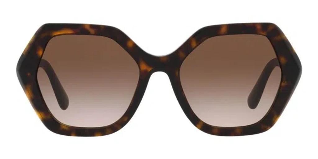 DOLCE & GABBANA Women's Sunglasses, Dg4406 In Brown Product Image