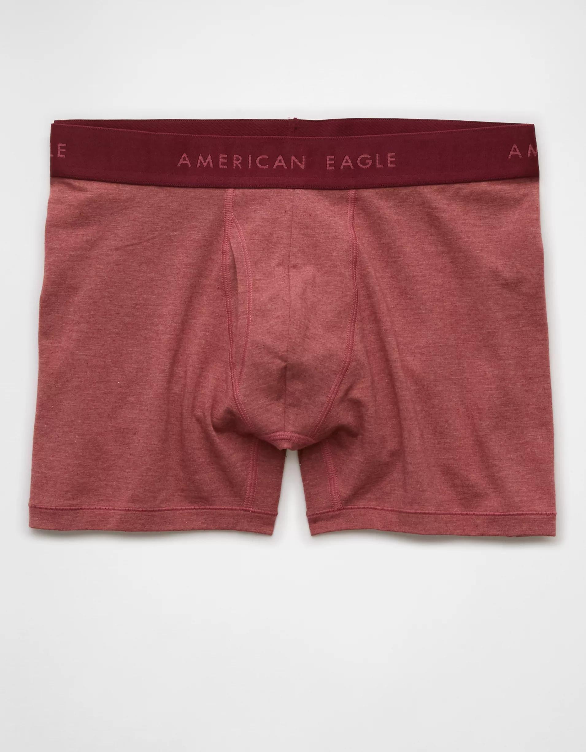 AEO Men's 4.5" Pasta Classic Boxer Brief Product Image