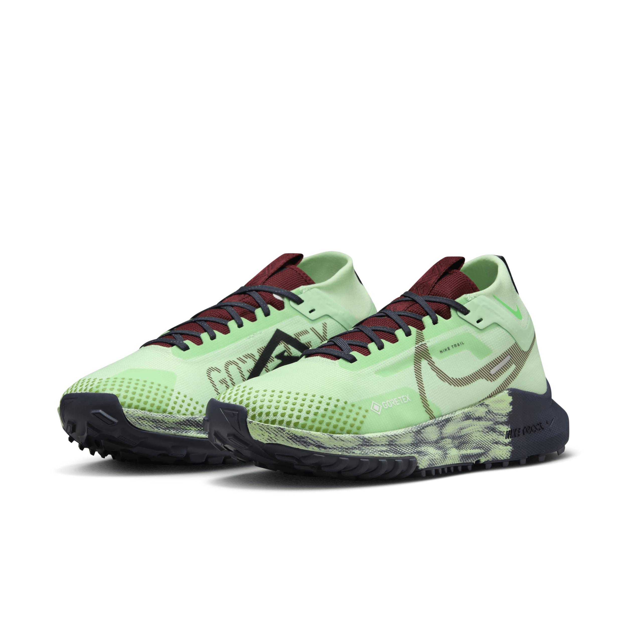 Nike Pegasus Trail 4 GORE-TEX Women's Waterproof Trail Running Shoes Product Image