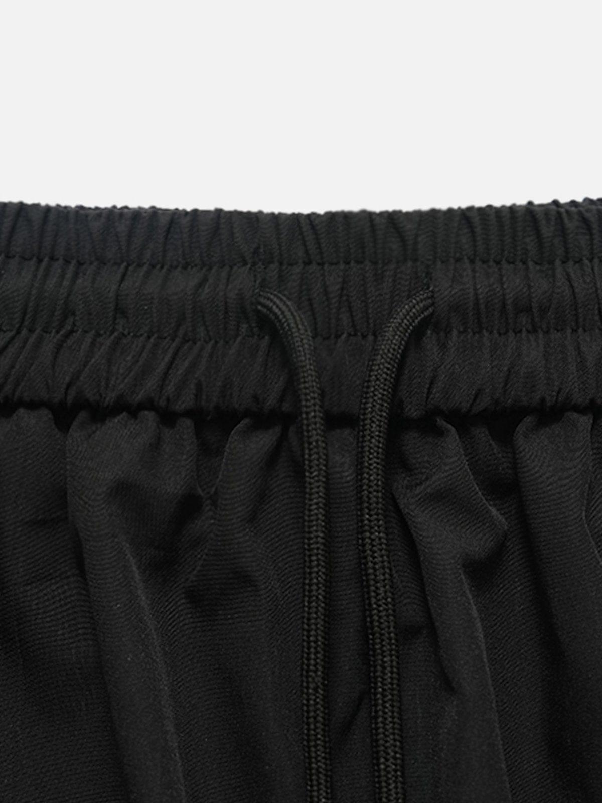 Aelfric Eden 3D Big Pocket Shorts Product Image