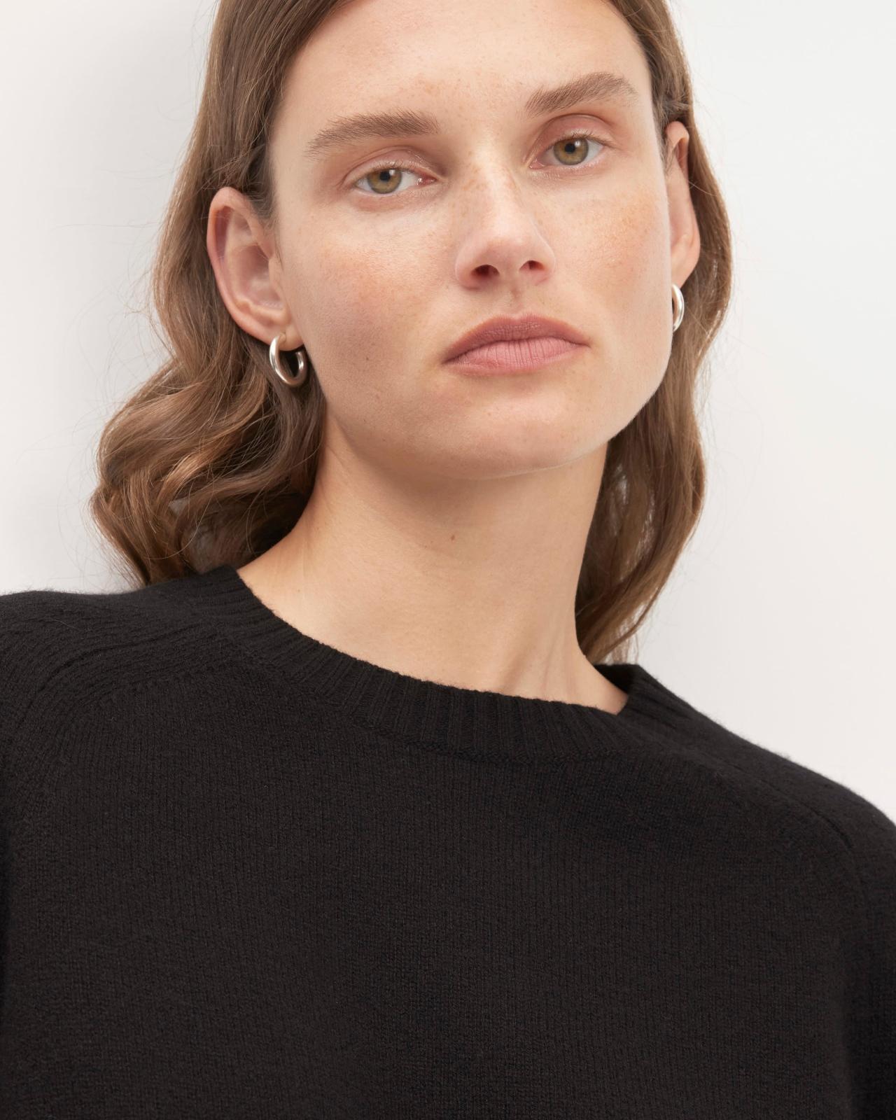 Womens Boxy Crew in Cashmere Sweater by Everlane Product Image