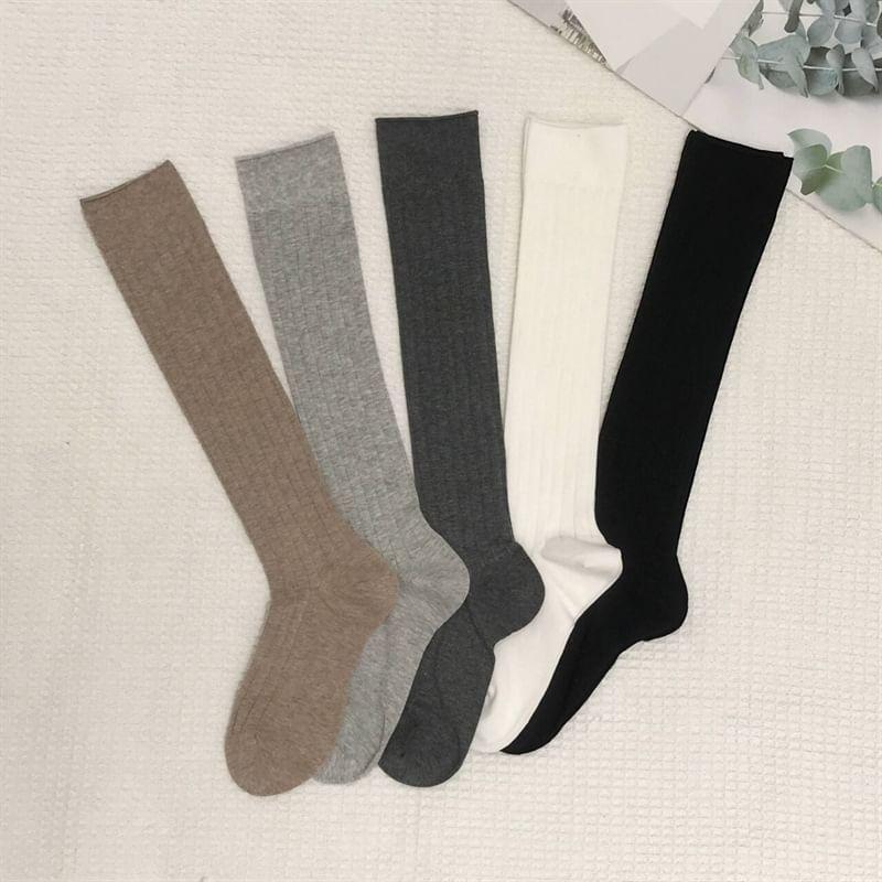 Over Knee Ribbed Socks Product Image