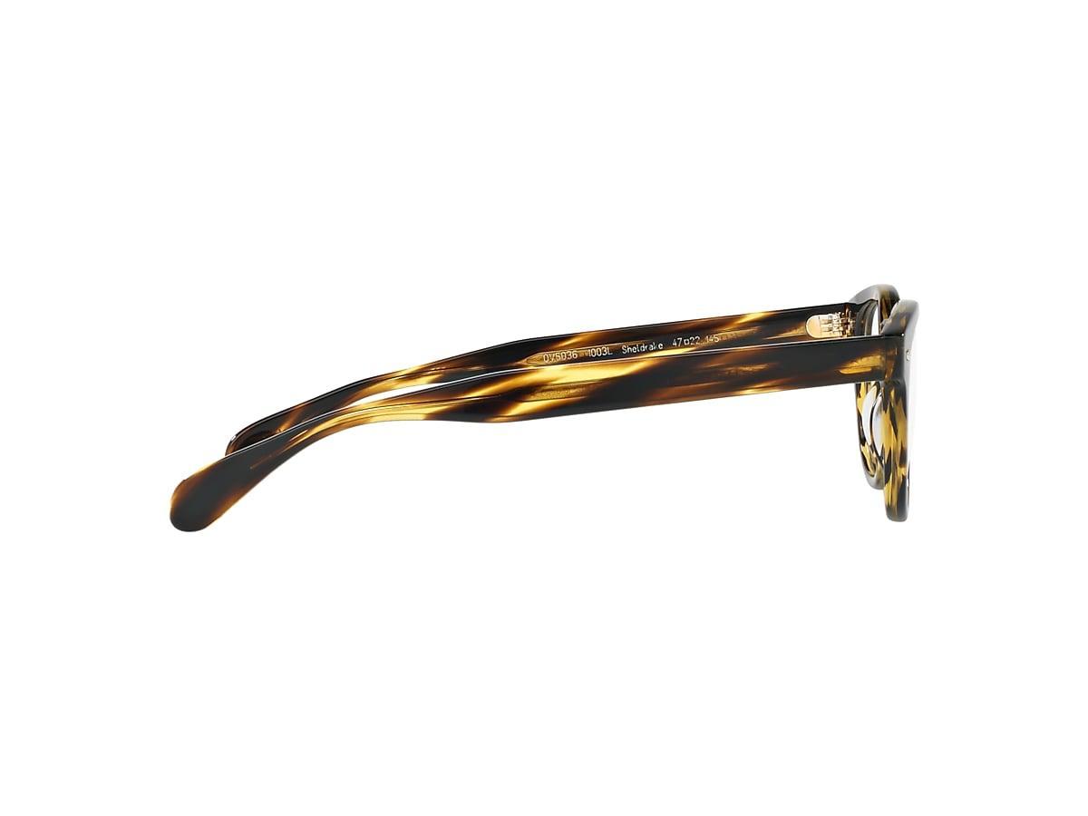 Sheldrake 0OV5036__1003L Product Image