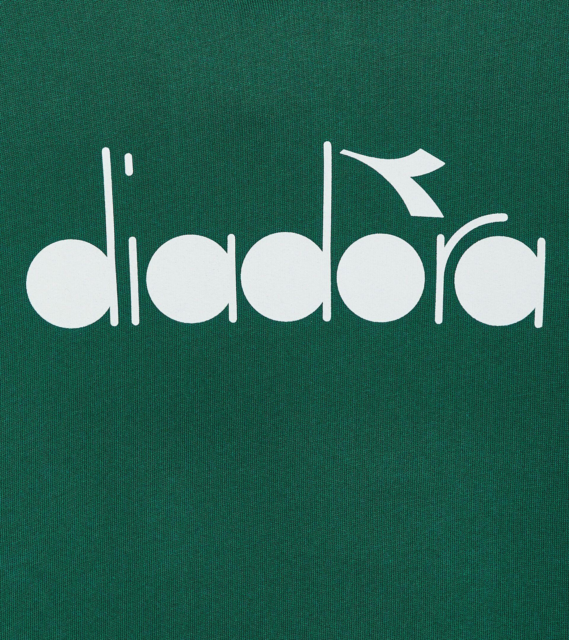 HOODIE LOGO Product Image