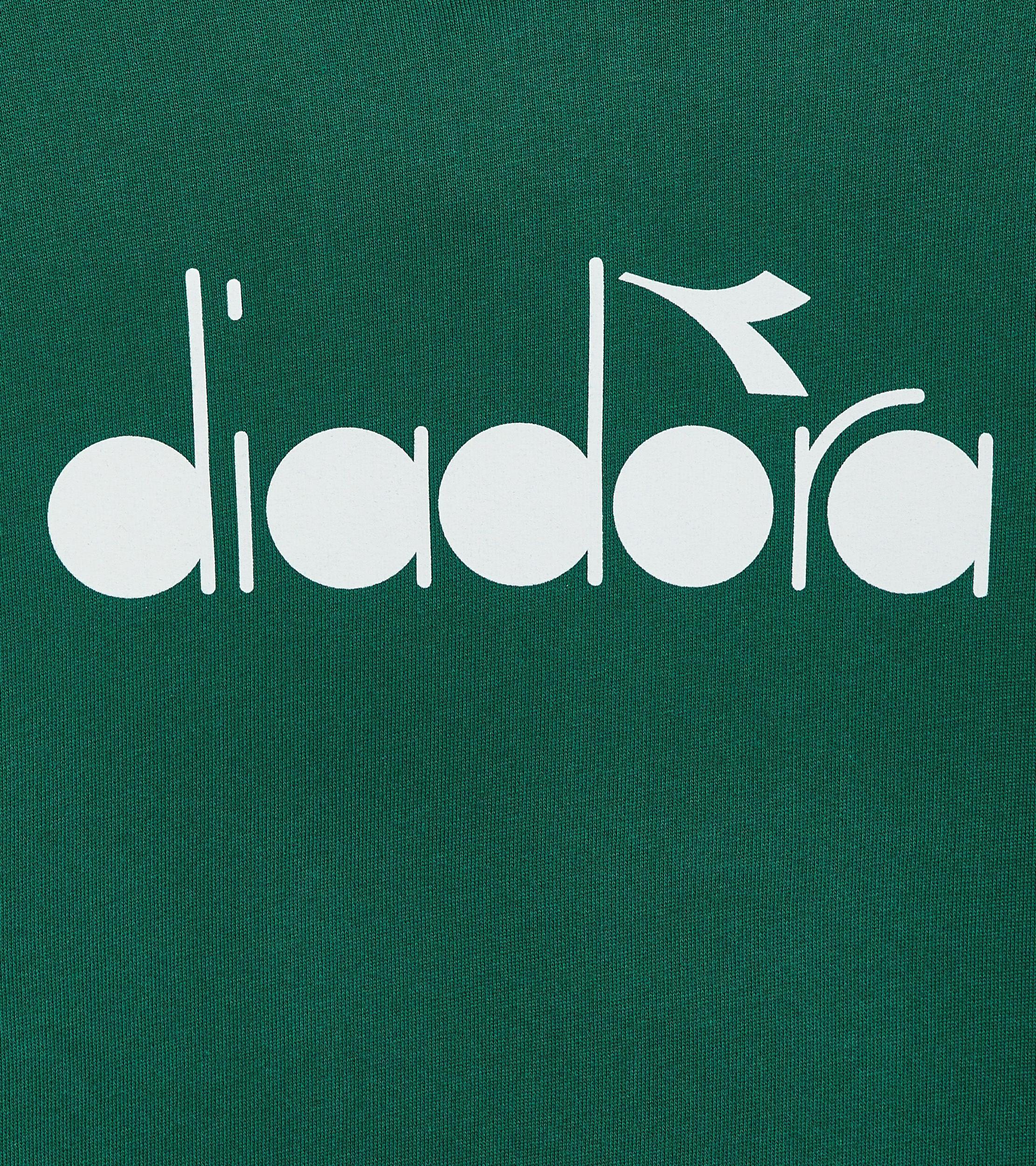 HOODIE LOGO Product Image