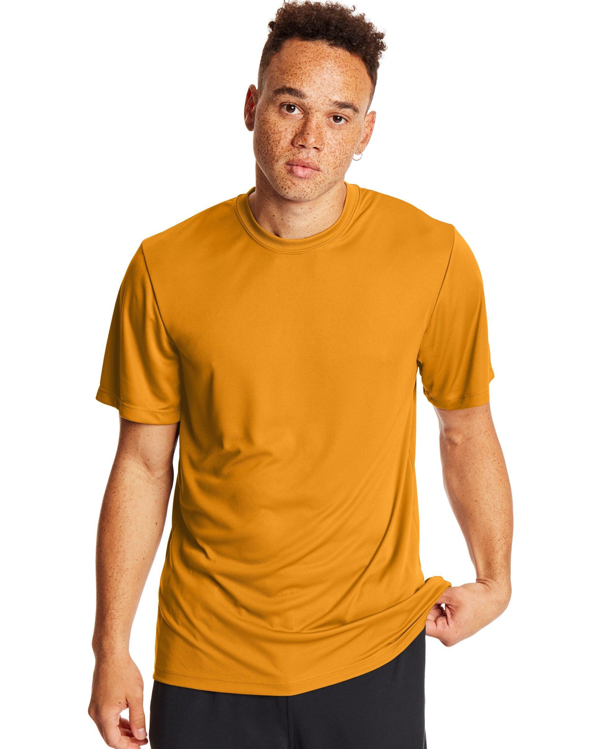 Mens Hanes Sport Cool DRI 2-Pack Performance T-Shirt Product Image