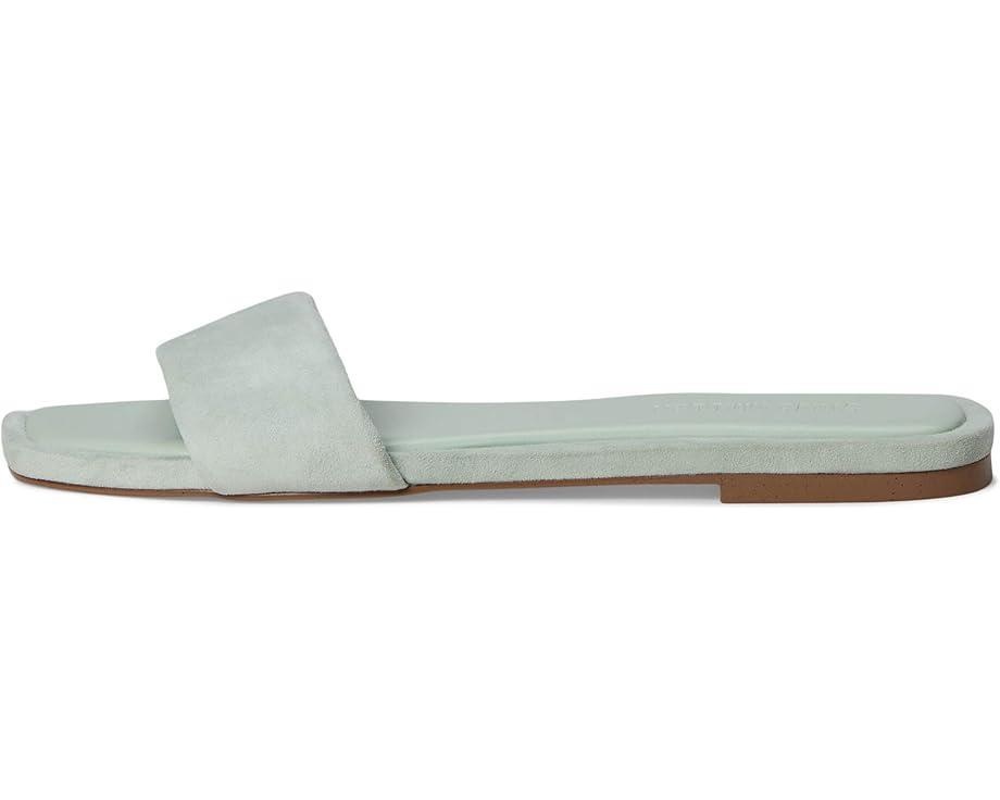 Lolipop Product Image