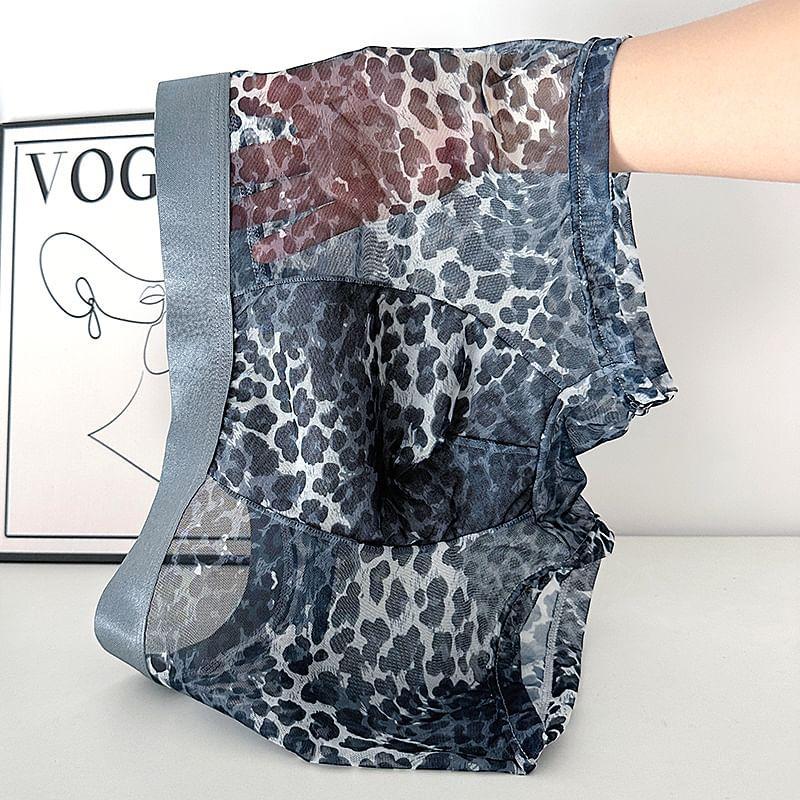 Leopard Print Boxer Brief / Set Product Image