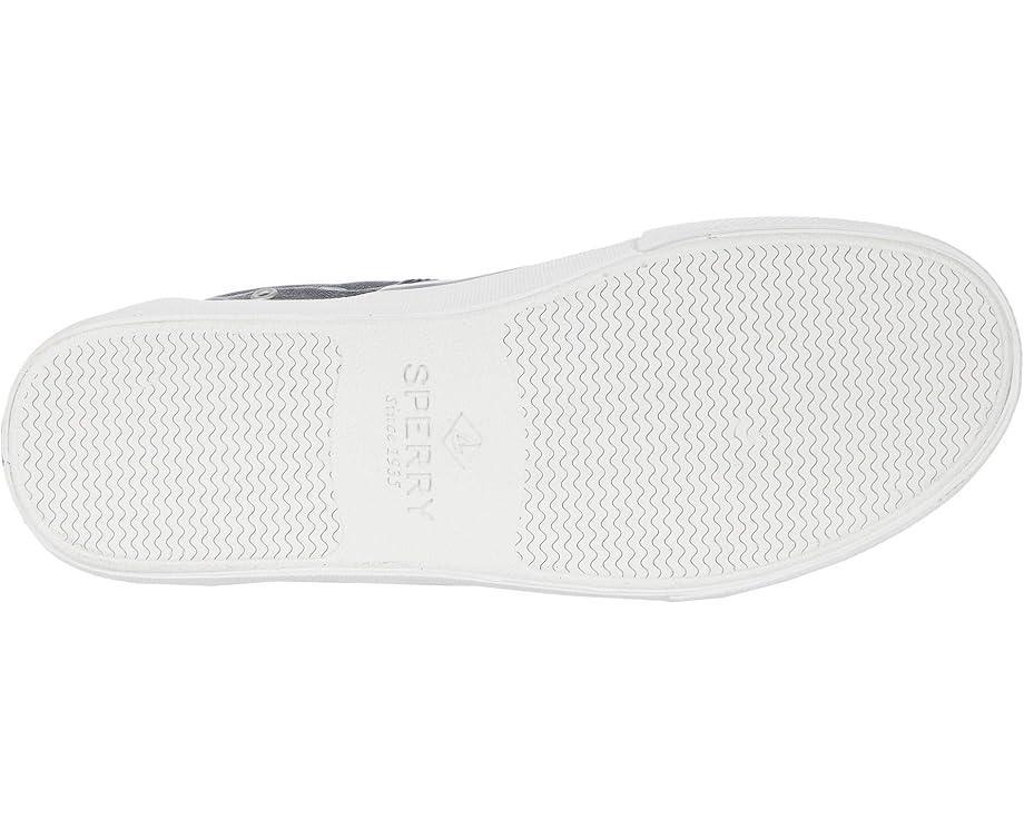 CVO Canvas Product Image