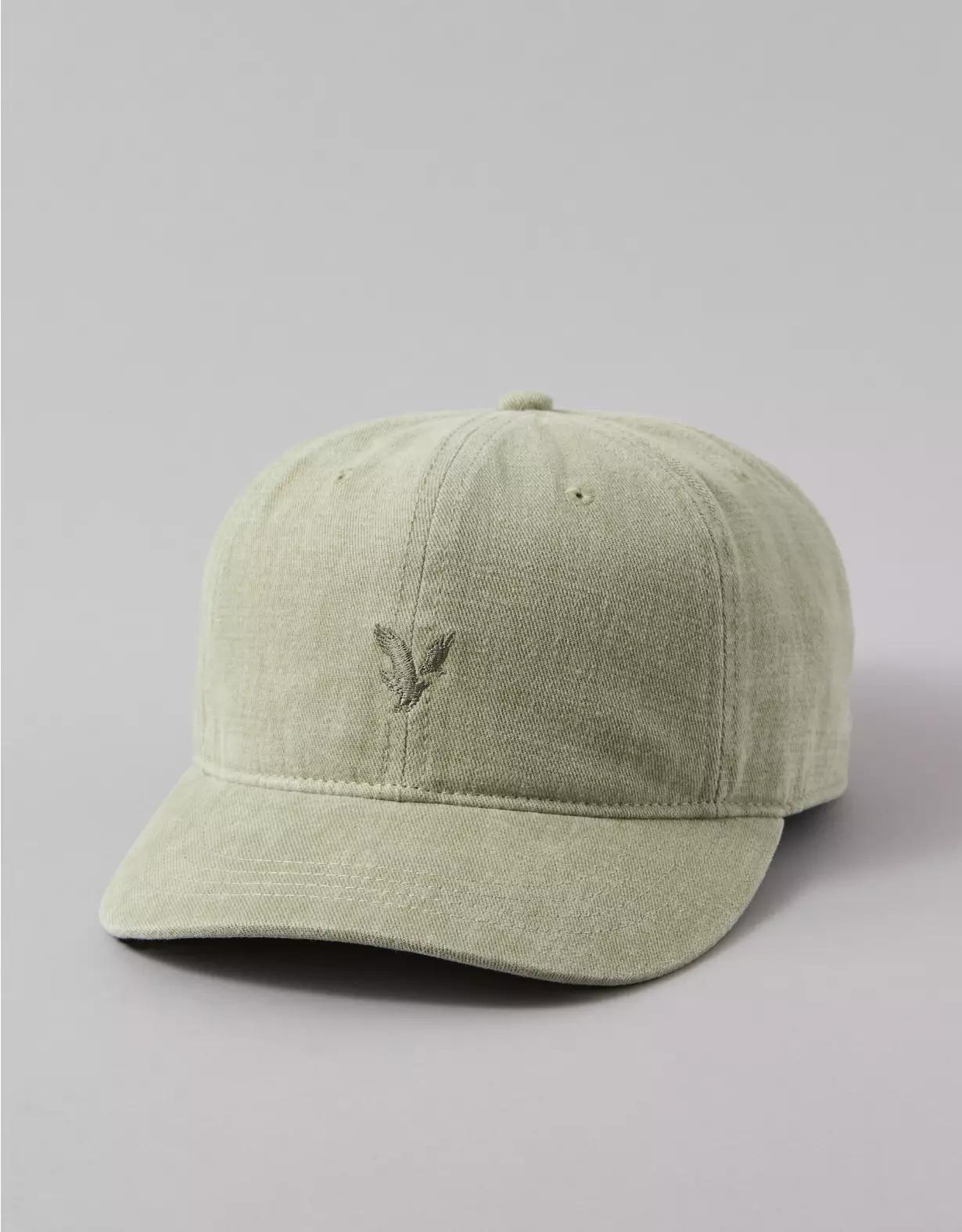 AE Logo Baseball Hat Product Image
