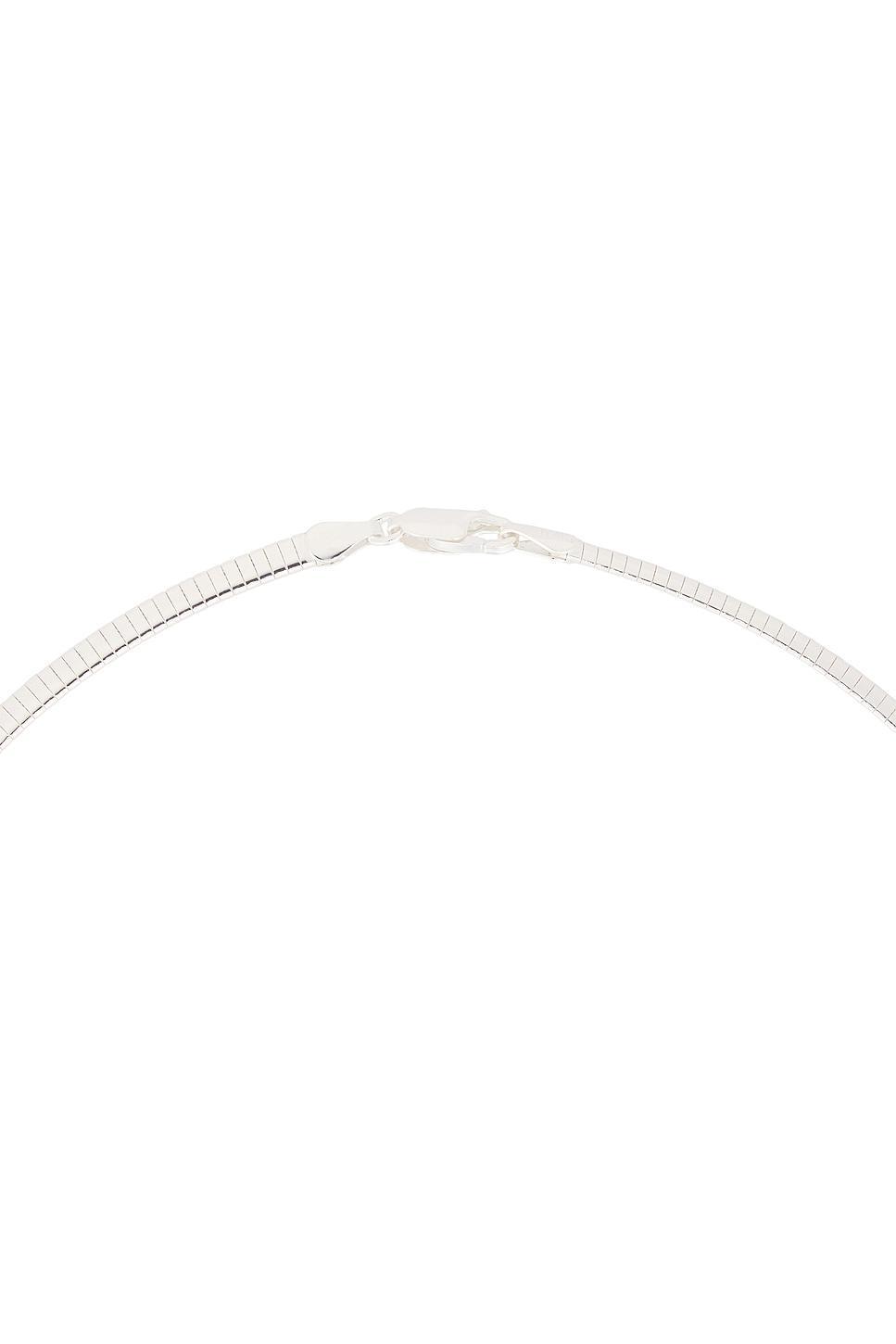 Omega 4 Necklace Product Image