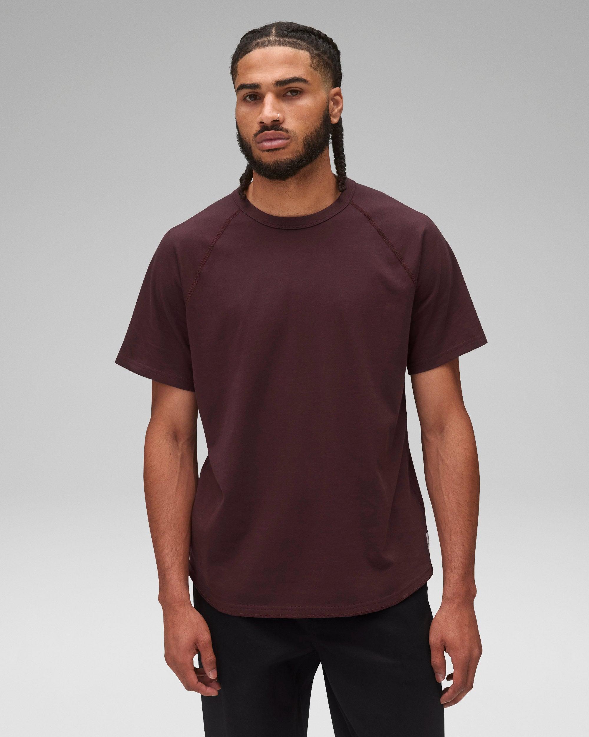 Lightweight Jersey Raglan T-Shirt - Vault Male Product Image