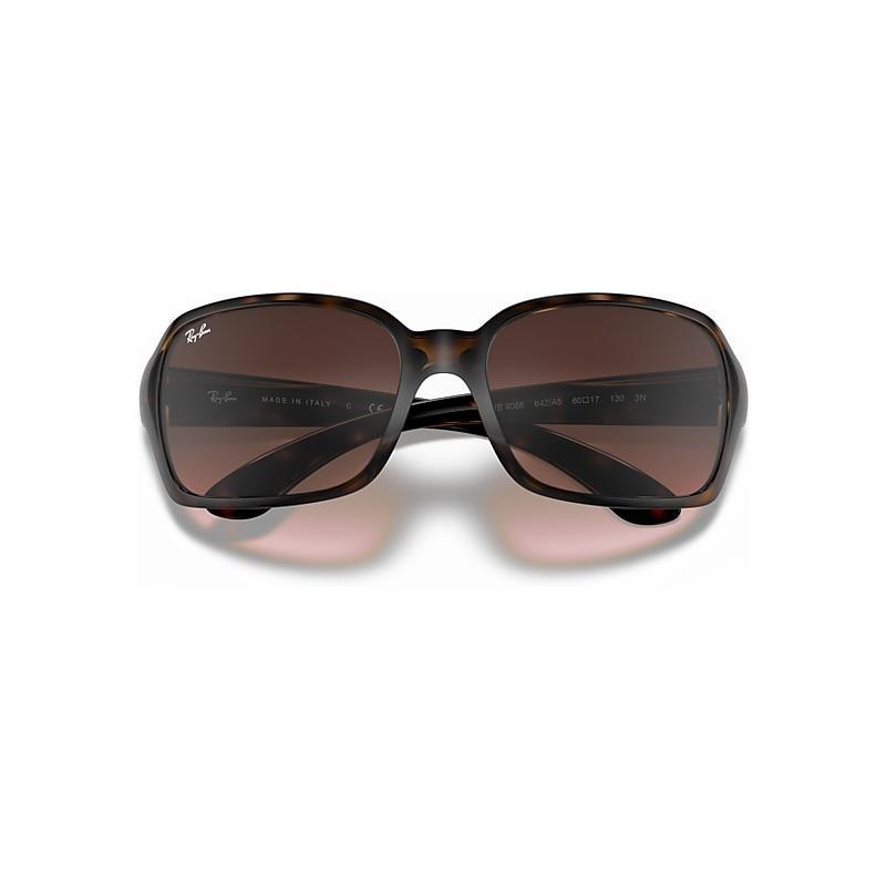 Ray-Ban Rb4068 Sunglasses Frame Brown Lenses Product Image