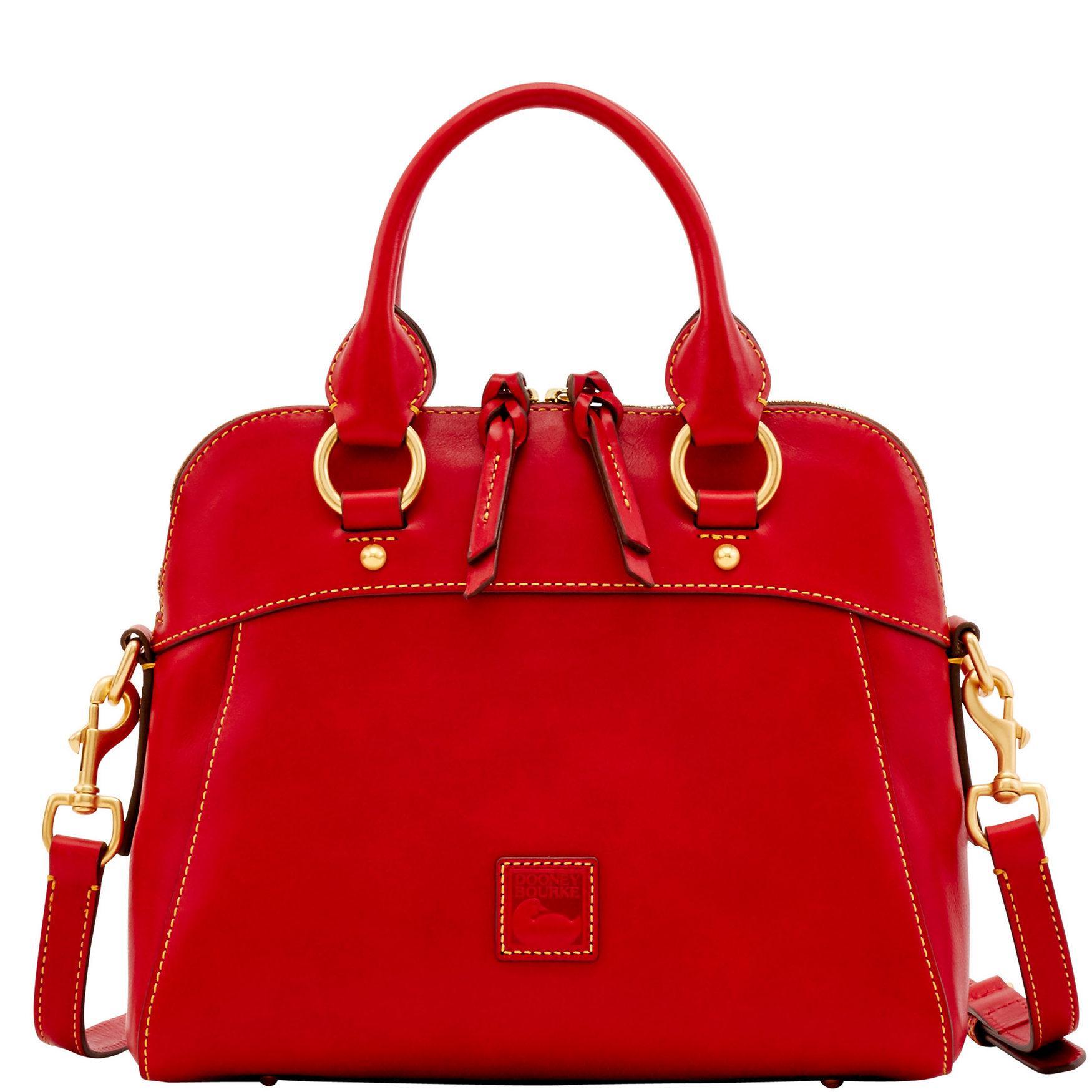 Dooney & Bourke Womens Florentine Cameron Leather Satchel Bag in Pale Blue Product Image