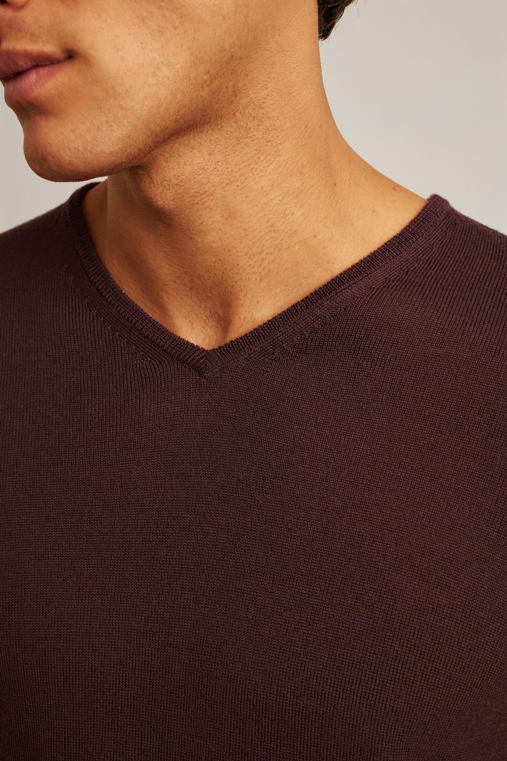 Washable Merino V-Neck Sweater Product Image