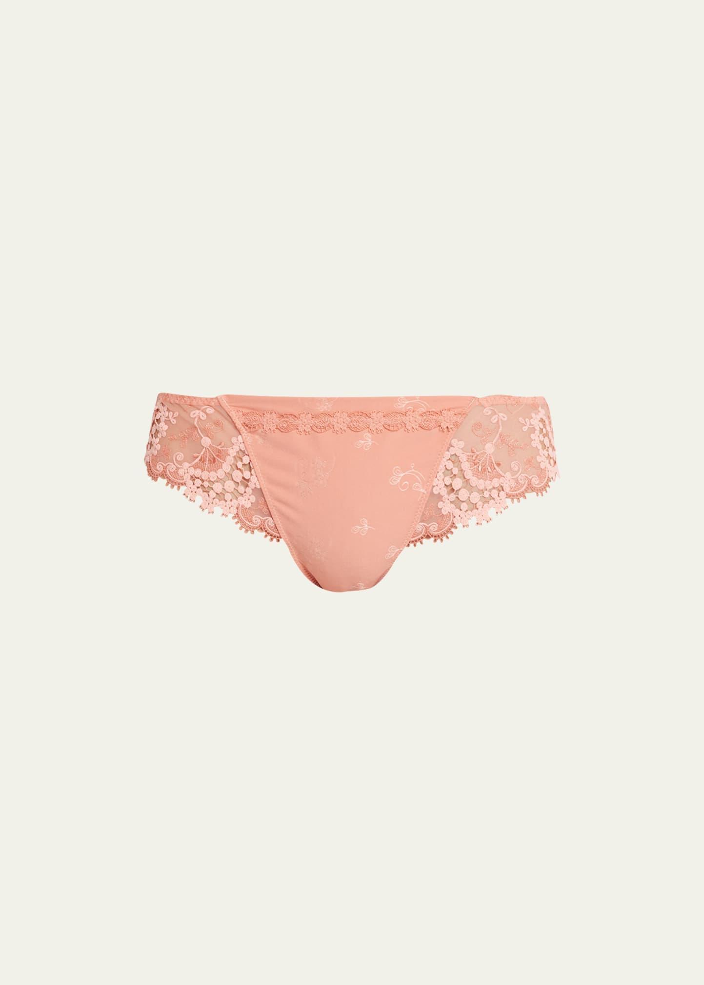 Wish Lace Mesh Tanga Product Image