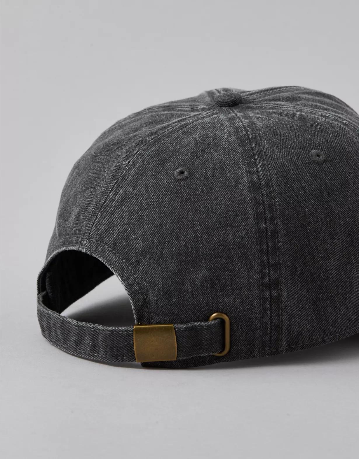 AE Logo Baseball Hat Product Image