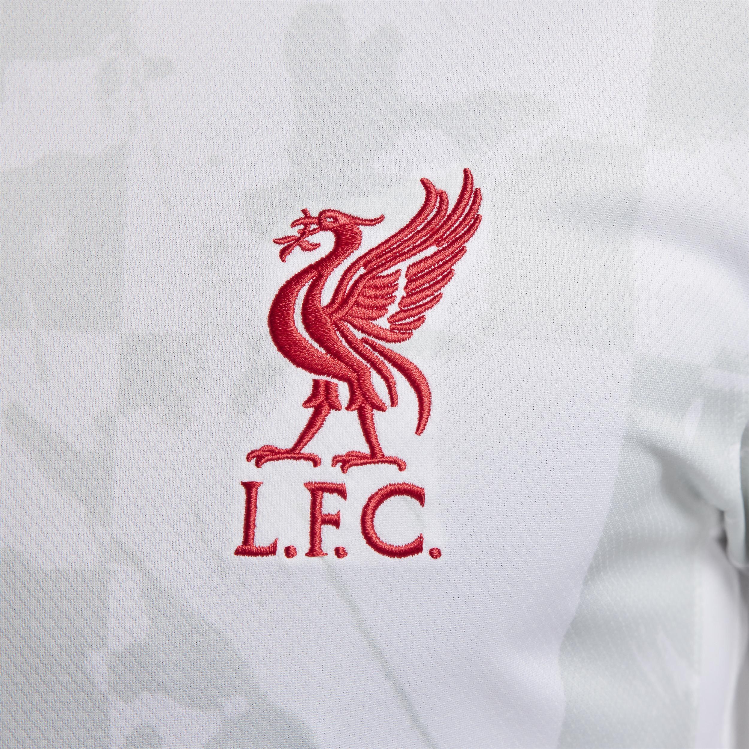 Liverpool FC 2024/25 Stadium Third Nike Mens Dri-FIT Soccer Replica Jersey Product Image