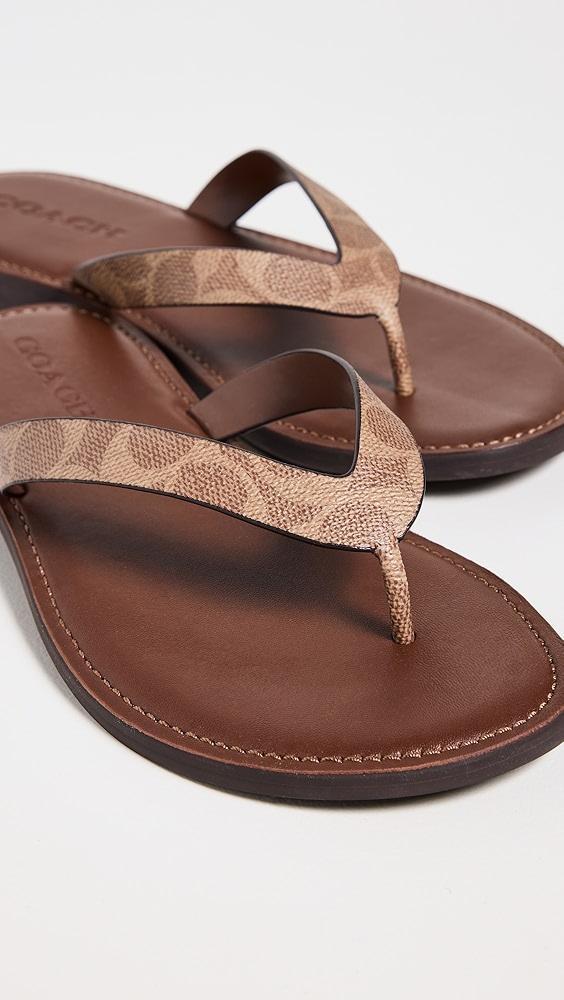 Coach Brianna Flip Flops | Shopbop Product Image