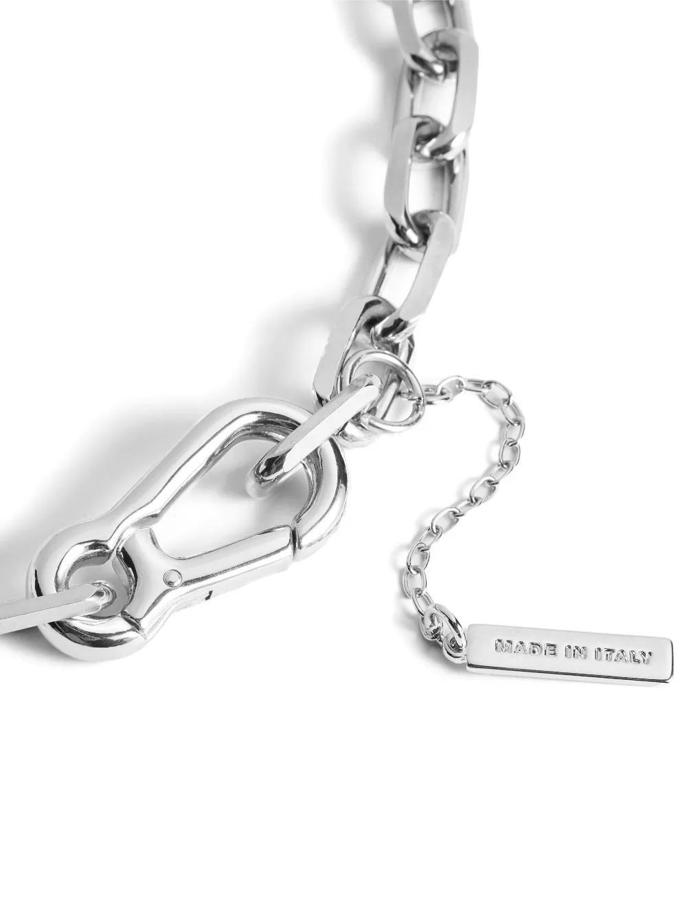 Carabiner necklace Product Image