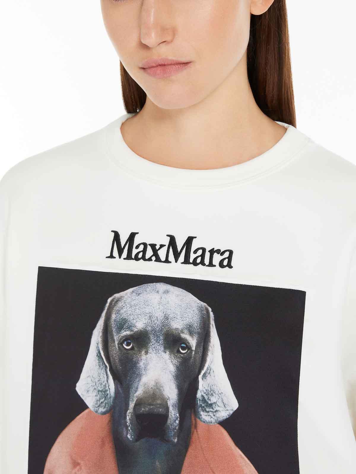 MAX MARA Bacco Cotton Sweatshirt With Wegman Print In White Product Image