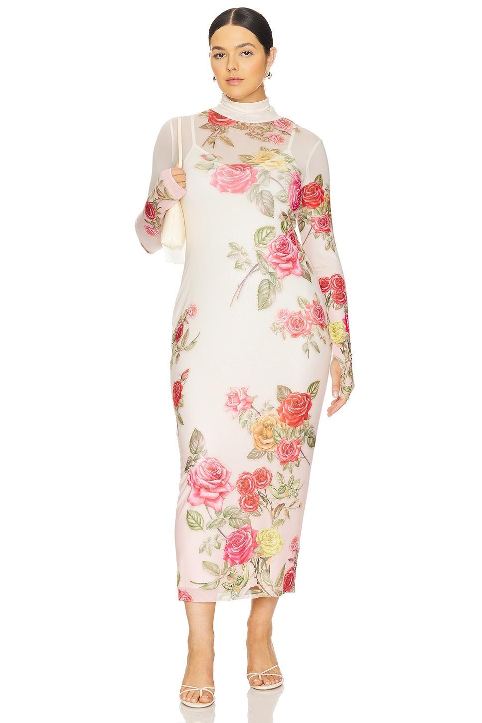 Shailene Mesh Dress AFRM Product Image