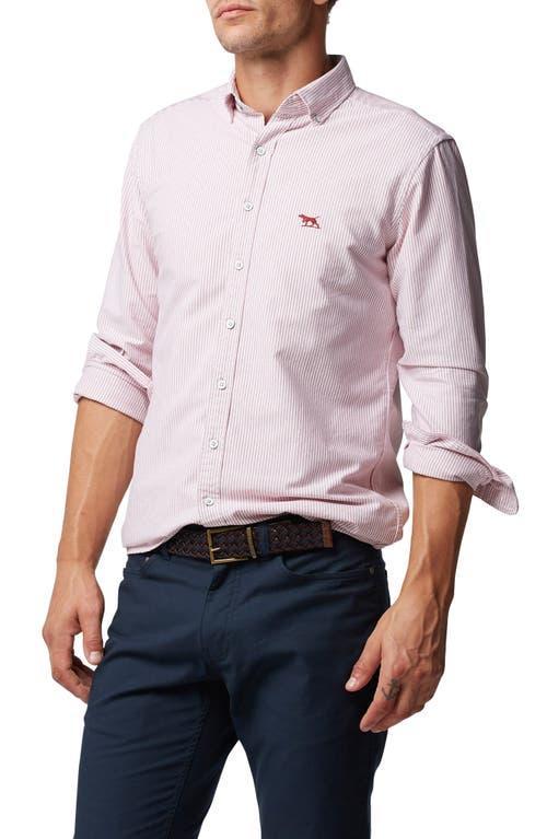 Rodd & Gunn Striped Oxford Shirt Product Image