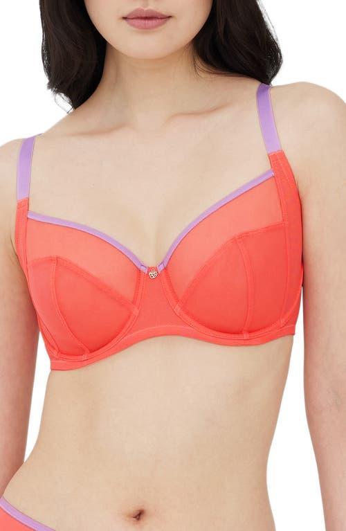 Skarlett Blue Spellbound Full Coverage Underwire Bra Product Image