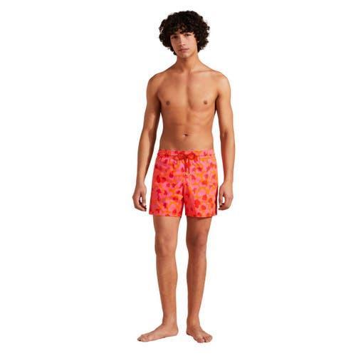 Mens New Leopard Swim Shorts Product Image