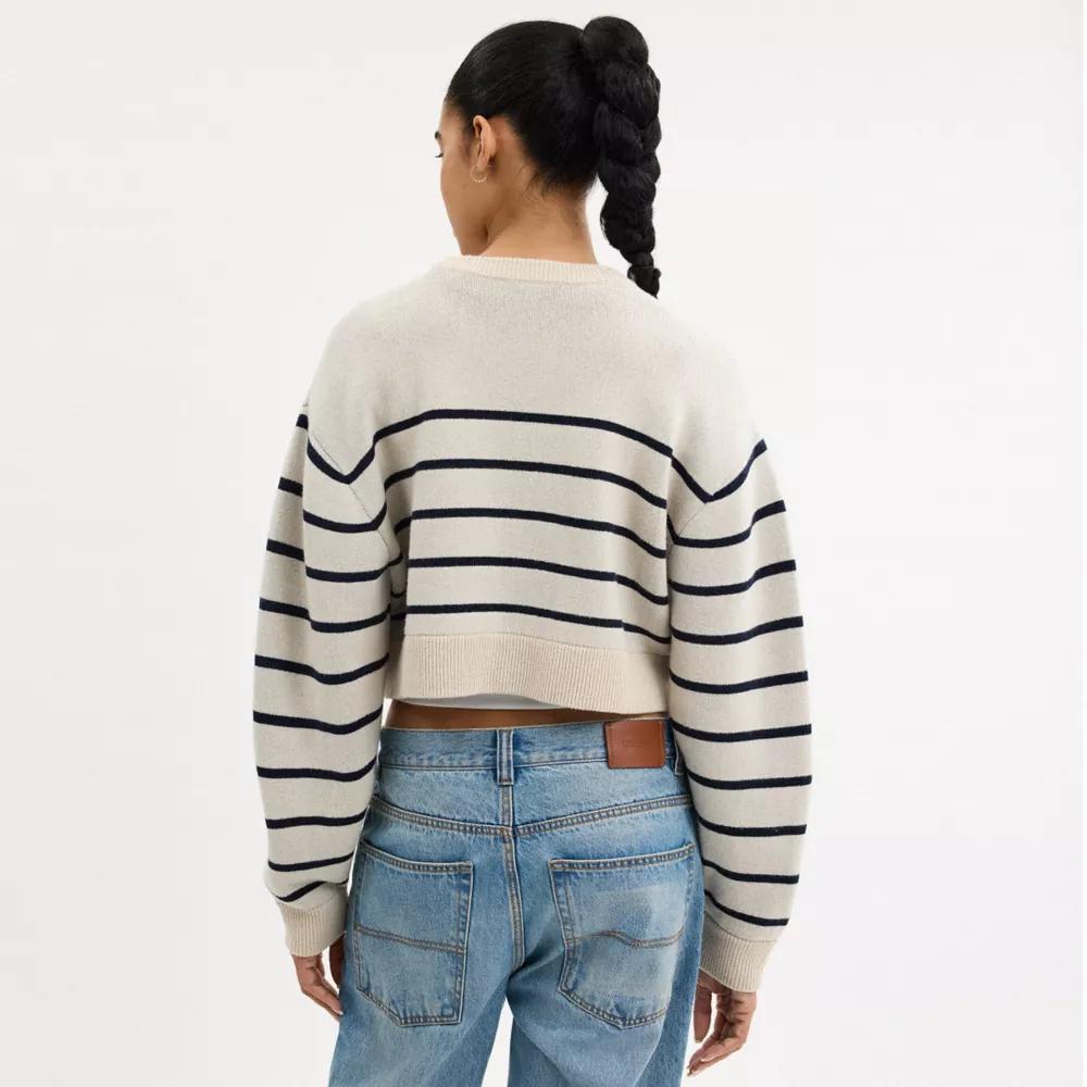 Cursive Signature Striped Cropped Sweater Product Image