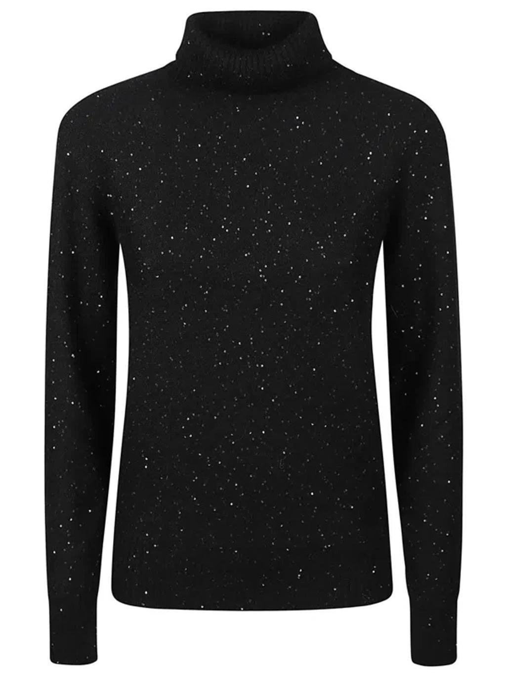FABIANA FILIPPI Turtle Neck Sweater In Black Product Image