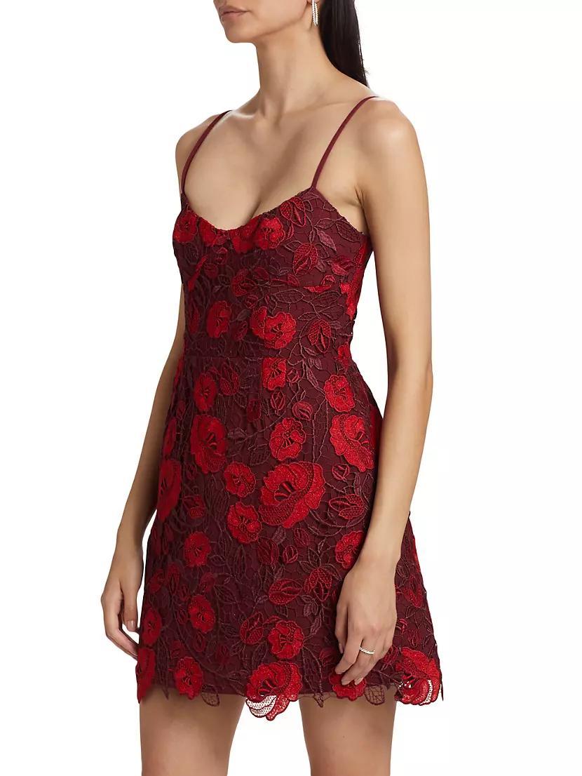 Arielle Metallic Lace Sleeveless Minidress Product Image