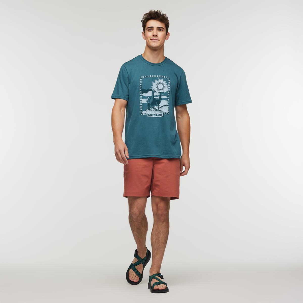 Llama Greetings T-Shirt - Men's Product Image
