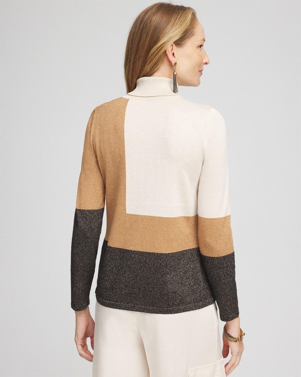 Neutral Colorblock Turtleneck Sweater Product Image
