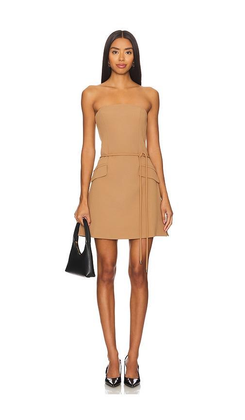 Nadia Mini Dress Karina Grimaldi Product Image