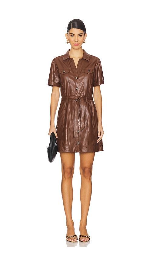 Amina Dress PAIGE Product Image